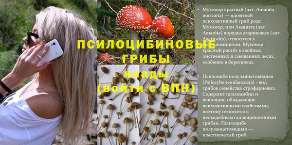 ECSTASY Няндома