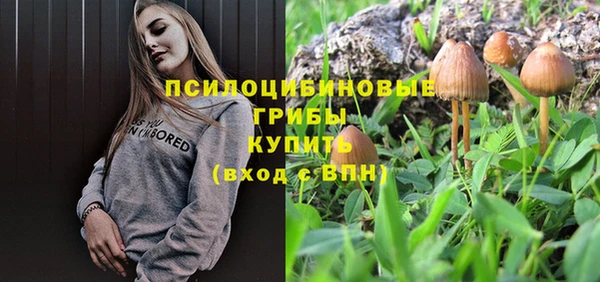 винт Нягань