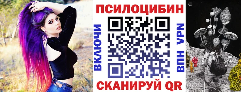 магазин  наркотиков  Тихорецк  blacksprut ONION  Псилоцибиновые грибы Psilocybine cubensis 