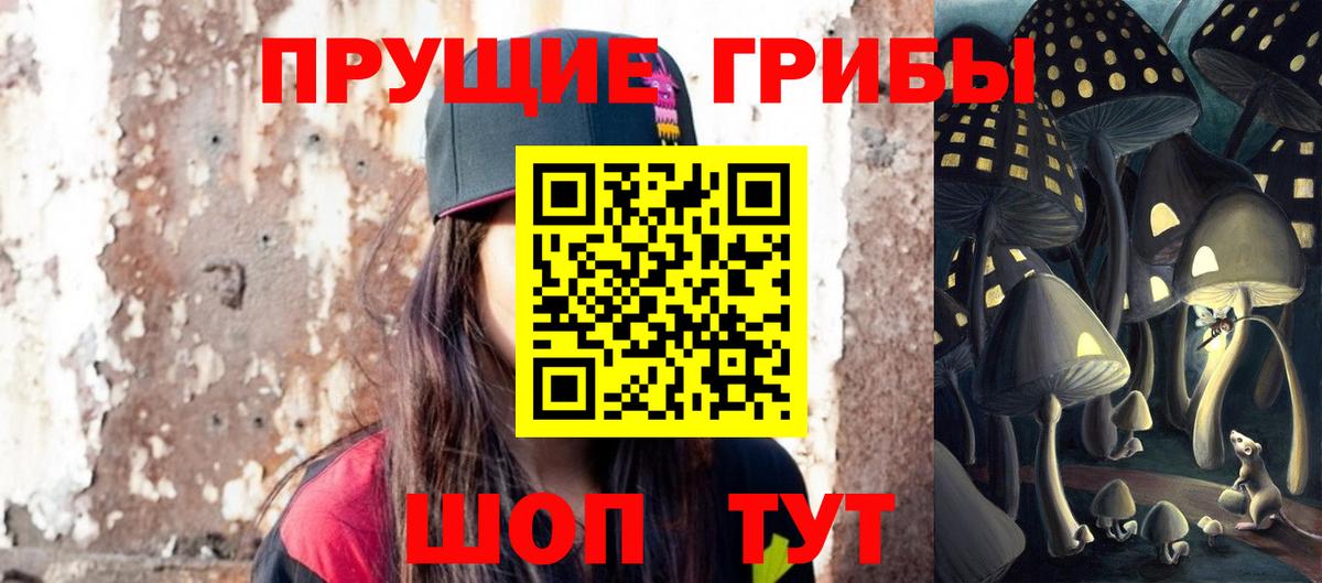 Псилоцибиновые грибы Cubensis Тихорецк